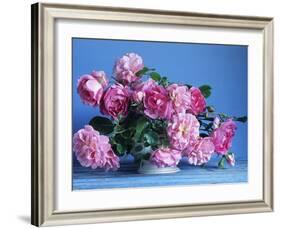 Grussan Achen Felicia and Centenaire de Lourdes Roses-Clay Perry-Framed Photographic Print