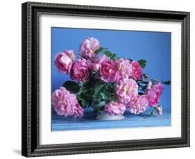 Grussan Achen Felicia and Centenaire de Lourdes Roses-Clay Perry-Framed Photographic Print