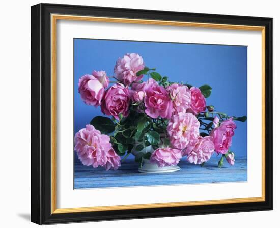 Grussan Achen Felicia and Centenaire de Lourdes Roses-Clay Perry-Framed Photographic Print