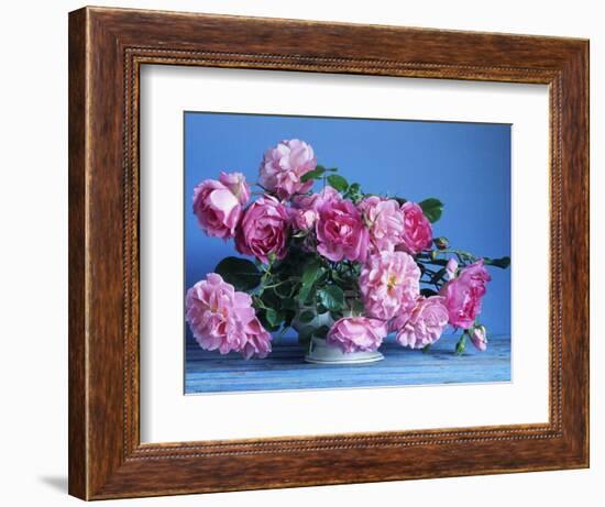 Grussan Achen Felicia and Centenaire de Lourdes Roses-Clay Perry-Framed Photographic Print
