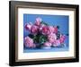 Grussan Achen Felicia and Centenaire de Lourdes Roses-Clay Perry-Framed Photographic Print