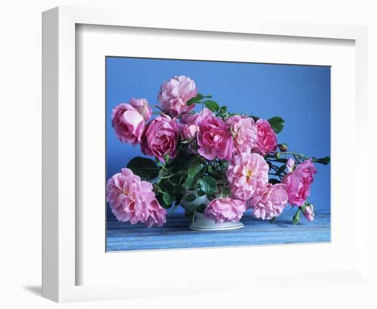 Grussan Achen Felicia and Centenaire de Lourdes Roses-Clay Perry-Framed Photographic Print