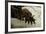 Gryllotalpa Gryllotalpa (European Mole Cricket) - Foreleg-Paul Starosta-Framed Photographic Print