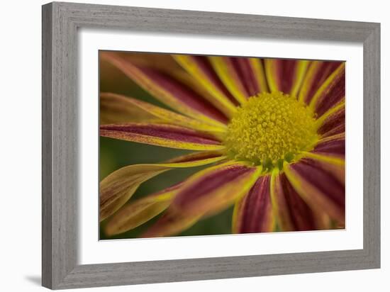 GS-36-10632016-Gordon Semmens-Framed Photographic Print