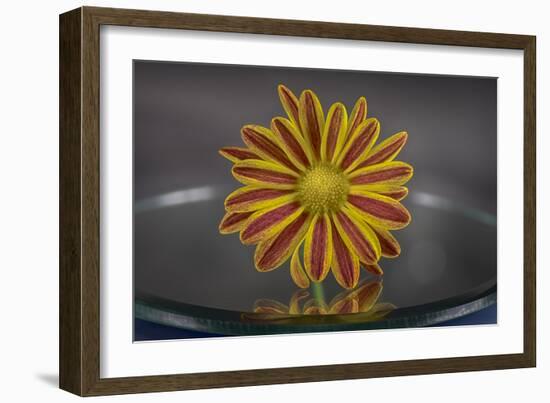 GS-36-8282016-Gordon Semmens-Framed Photographic Print