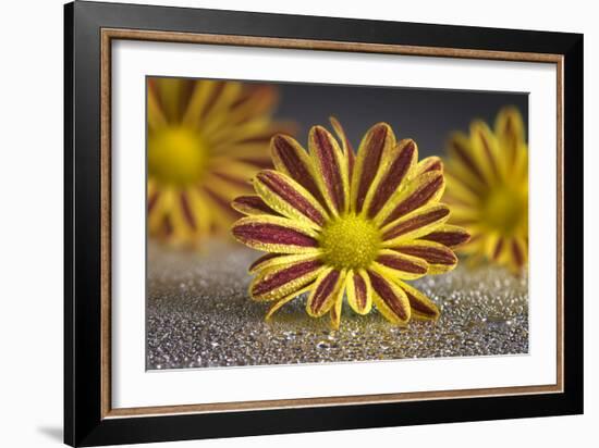 GS-36-9222016-Gordon Semmens-Framed Photographic Print