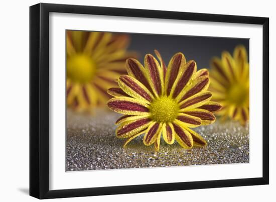 GS-36-9222016-Gordon Semmens-Framed Photographic Print