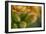 GS-Kalanchoe_1340-Gordon Semmens-Framed Giclee Print