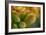 GS-Kalanchoe_1340-Gordon Semmens-Framed Giclee Print