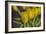 GS-Yellow Tulips_029-Gordon Semmens-Framed Giclee Print