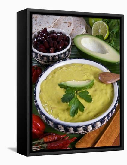 Guacamole Sauce, Mexican Food, Mexico, North America-Tondini Nico-Framed Premier Image Canvas