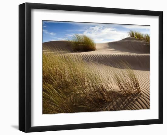 Guadalupe-Nipomo Dunes National Wildlife Refuge, Guadalupe, California:-Ian Shive-Framed Photographic Print