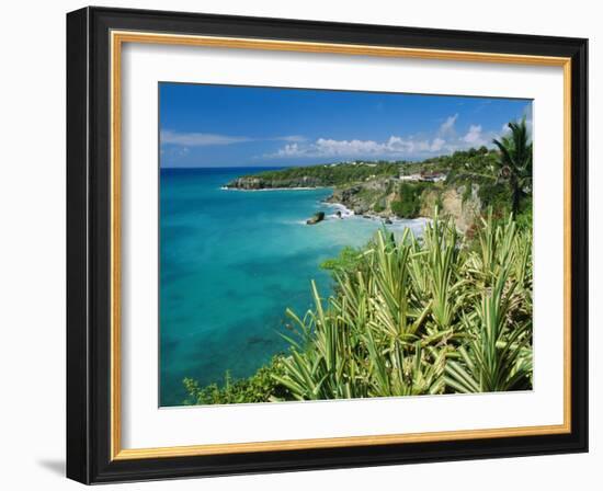 Guadeloupe, French Antilles, West Indies, Caribbean-J P De Manne-Framed Premium Photographic Print