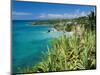 Guadeloupe, French Antilles, West Indies, Caribbean-J P De Manne-Mounted Photographic Print