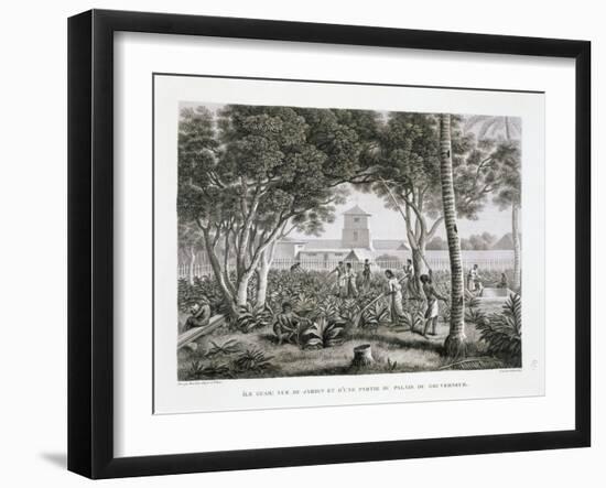 Guam Island: View of the Garden and a Party at the Governor's Palace Book Illustration-null-Framed Giclee Print