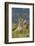 Guanaco and baby, Andes Mountain, Torres del Paine National Park, Chile. Patagonia-Adam Jones-Framed Photographic Print