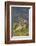 Guanaco and baby, Andes Mountain, Torres del Paine National Park, Chile. Patagonia-Adam Jones-Framed Photographic Print