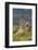 Guanaco and baby, Andes Mountain, Torres del Paine National Park, Chile. Patagonia-Adam Jones-Framed Photographic Print