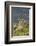 Guanaco and baby, Andes Mountain, Torres del Paine National Park, Chile. Patagonia-Adam Jones-Framed Photographic Print