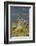 Guanaco and baby, Andes Mountain, Torres del Paine National Park, Chile. Patagonia-Adam Jones-Framed Photographic Print