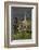 Guanaco and baby, Andes Mountain, Torres del Paine National Park, Chile, Patagonia-Adam Jones-Framed Photographic Print