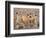 Guanaco (Lama guanicoe), National Park Los Cardones near Cachi. Argentina-Martin Zwick-Framed Photographic Print