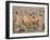 Guanaco (Lama guanicoe), National Park Los Cardones near Cachi. Argentina-Martin Zwick-Framed Photographic Print