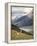 Guanaco (Lama Guanicoe) with Mountains and Lago Nordenskjsld in Background, Chile, South America-James Hager-Framed Premier Image Canvas