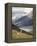 Guanaco (Lama Guanicoe) with Mountains and Lago Nordenskjsld in Background, Chile, South America-James Hager-Framed Premier Image Canvas