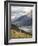 Guanaco (Lama Guanicoe) with Mountains and Lago Nordenskjsld in Background, Chile, South America-James Hager-Framed Photographic Print