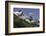 Guanaco on steep slope, Torres del Paine National Park, Chile, Patagonia, Patagonia-Adam Jones-Framed Photographic Print