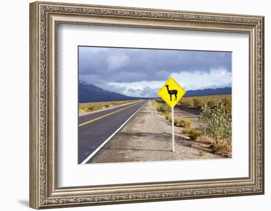 Guanaco Sign, Argentina-Peter Groenendijk-Framed Photographic Print