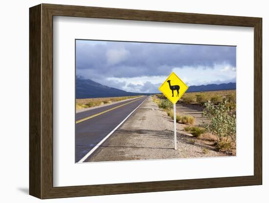 Guanaco Sign, Argentina-Peter Groenendijk-Framed Photographic Print