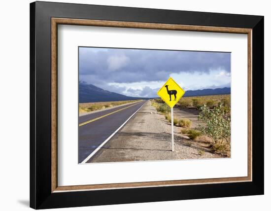 Guanaco Sign, Argentina-Peter Groenendijk-Framed Photographic Print