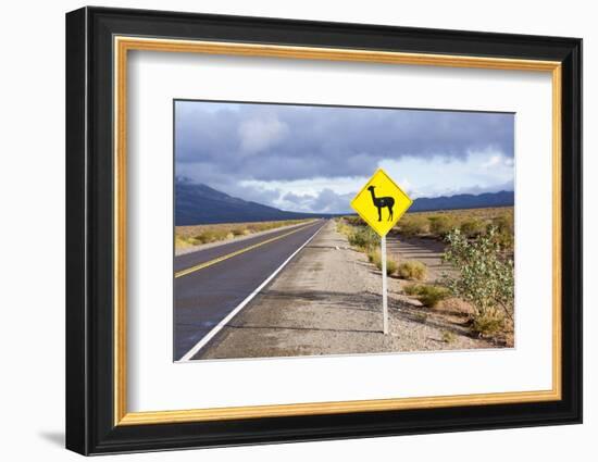 Guanaco Sign, Argentina-Peter Groenendijk-Framed Photographic Print