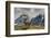 Guanaco with Cuernos in background, Torres Del Paine National Park, Region 12, Chile, Patagonia-Howie Garber-Framed Photographic Print