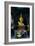 Guanyin Goddess-Charles Bowman-Framed Photographic Print