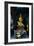 Guanyin Goddess-Charles Bowman-Framed Photographic Print