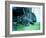 Guard Dog-Sharon Wish-Framed Photographic Print