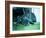 Guard Dog-Sharon Wish-Framed Photographic Print