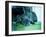 Guard Dog-Sharon Wish-Framed Photographic Print