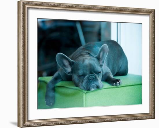 Guard Dog-Sharon Wish-Framed Photographic Print