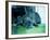 Guard Dog-Sharon Wish-Framed Photographic Print