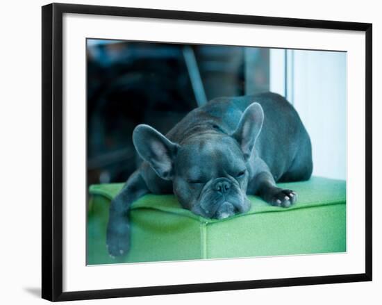 Guard Dog-Sharon Wish-Framed Photographic Print