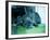 Guard Dog-Sharon Wish-Framed Photographic Print