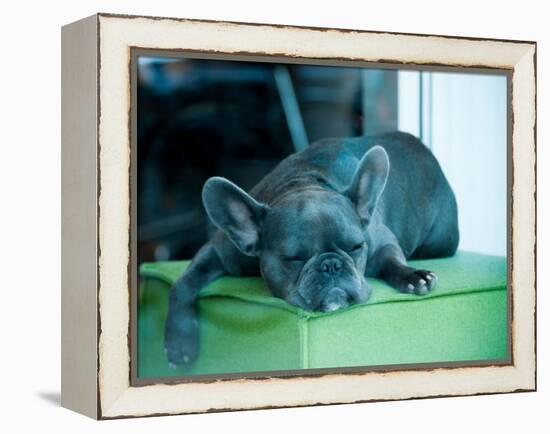 Guard Dog-Sharon Wish-Framed Premier Image Canvas