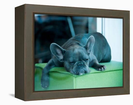 Guard Dog-Sharon Wish-Framed Premier Image Canvas