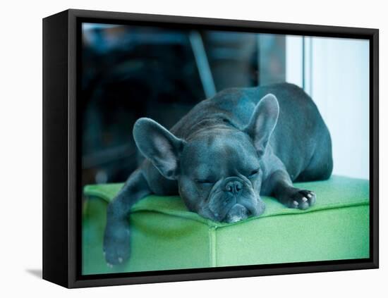 Guard Dog-Sharon Wish-Framed Premier Image Canvas