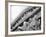 Guardian of Law, Statue Created by Sculptor James Earle Fraser Outside the Supreme Court Building-Margaret Bourke-White-Framed Photographic Print