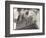 Guardian of Law, Statue Created by Sculptor James Earle Fraser Outside the Supreme Court Building-Margaret Bourke-White-Framed Photographic Print